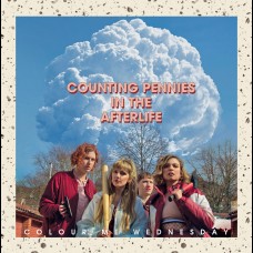 Colour Me Wednesday - Counting Pennies In The Afterlife LP
